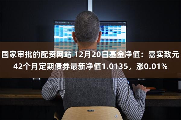 国家审批的配资网站 12月20日基金净值：嘉实致元42个月定