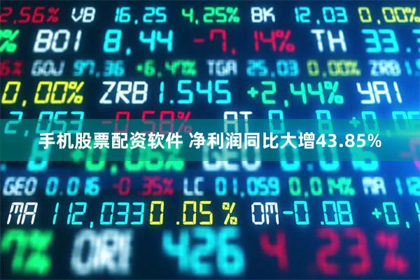手机股票配资软件 净利润同比大增43.85%